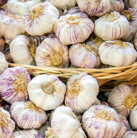Photo for The garlic at the market display stall - Royalty Free Image