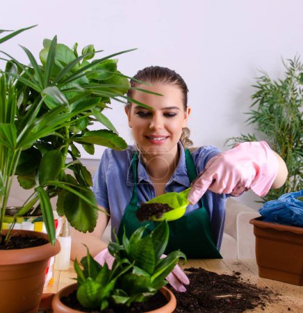 Téléchargez les photos : La jeune jardinière avec des plantes à l'intérieur - en image libre de droit