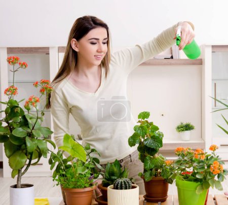 Photo for The young female gardener with plants indoors - Royalty Free Image