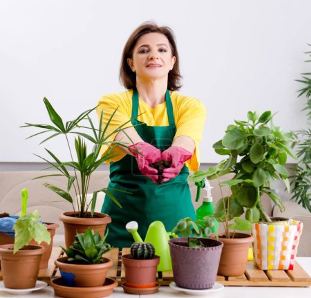 Téléchargez les photos : Le jardinier femelle avec des plantes à l'intérieur - en image libre de droit