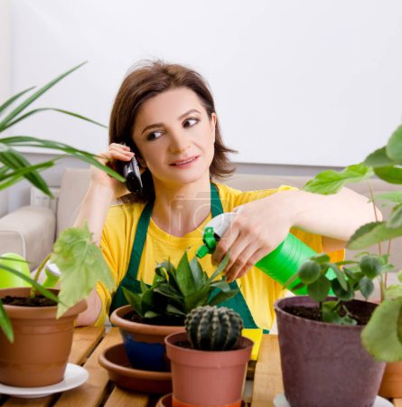 Photo for The female gardener with plants indoors - Royalty Free Image