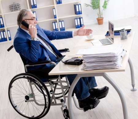 Photo for The aged employee in wheelchair working in the office - Royalty Free Image