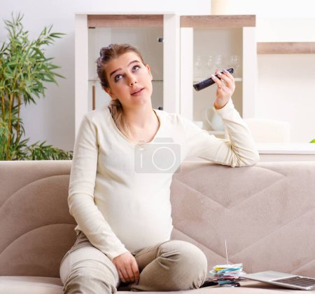 Photo for The young pregnant woman in budget planning concept - Royalty Free Image