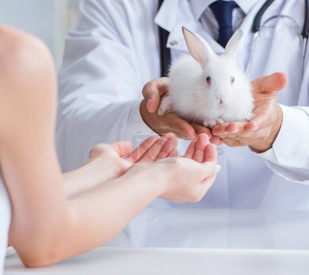 Foto de La mujer con conejo mascota médico veterinario visitante - Imagen libre de derechos