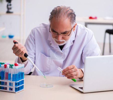 Photo for Senior male chemist working in the lab - Royalty Free Image