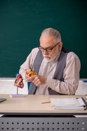 Photo for Old anatomy teacher explaining heart structure - Royalty Free Image