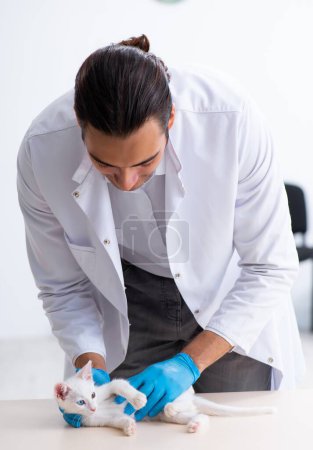 Photo for The young male doctor examining sick cat - Royalty Free Image