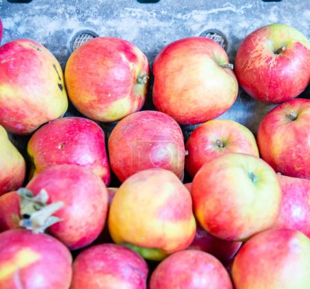 Foto de Las manzanas en el puesto de exhibición del mercado - Imagen libre de derechos