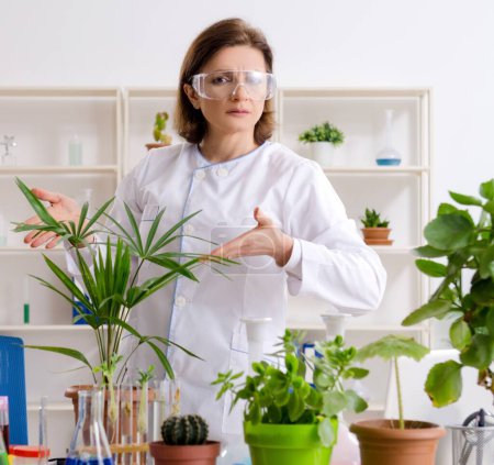 Photo for The old female biotechnology chemist working in the lab - Royalty Free Image