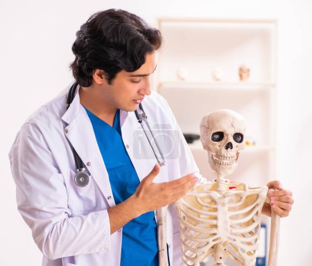 Téléchargez les photos : Le jeune médecin masculin avec squelette - en image libre de droit