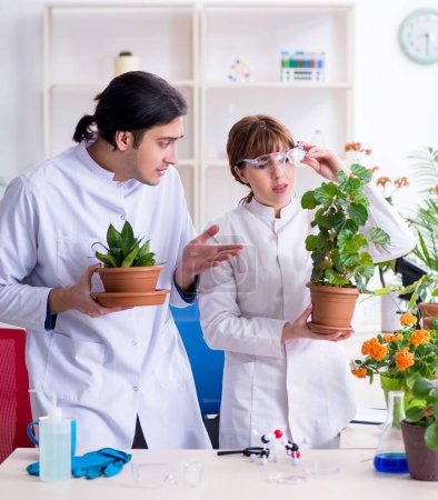 Téléchargez les photos : Les deux jeunes botanistes travaillant dans le laboratoire - en image libre de droit
