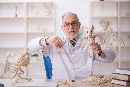 Foto de Antiguo paleontólogo examinando animales antiguos en el laboratorio - Imagen libre de derechos