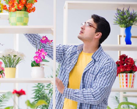 Téléchargez les photos : Le fleuriste jardinier travaillant dans un magasin de fleurs avec des plantes maison - en image libre de droit