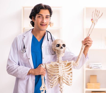 Téléchargez les photos : Le jeune médecin masculin avec squelette - en image libre de droit