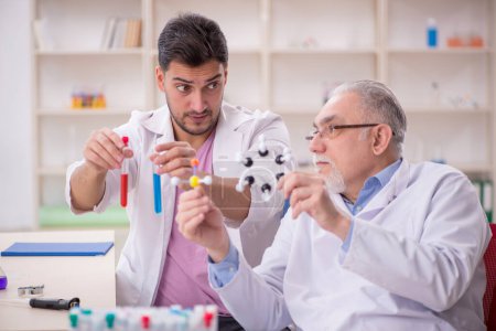 Téléchargez les photos : Two chemists working at the lab - en image libre de droit