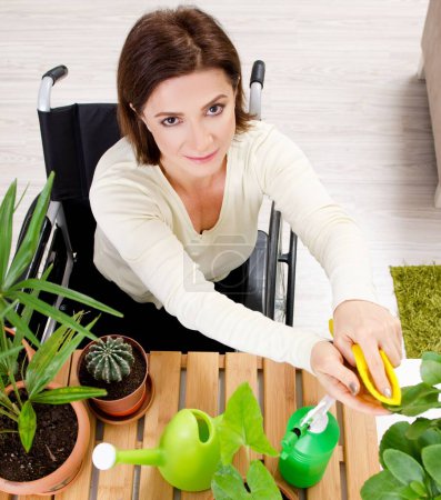 Foto de La mujer en silla de ruedas cultivando plantas de interior - Imagen libre de derechos
