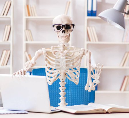 Foto de El esqueleto del estudiante preparándose para los exámenes - Imagen libre de derechos