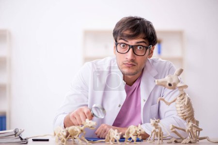 Photo for Young paleontologist examining ancient animals at lab - Royalty Free Image