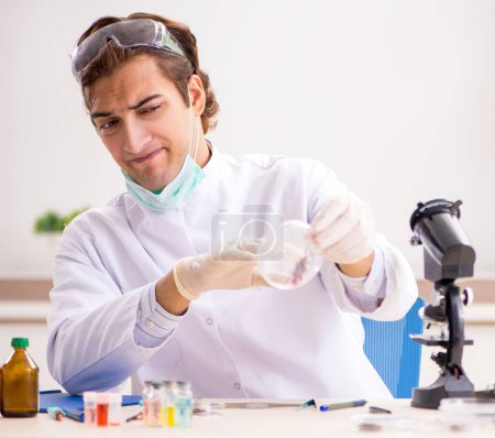 Téléchargez les photos : L'entomologiste masculin travaillant dans le laboratoire sur de nouvelles espèces - en image libre de droit