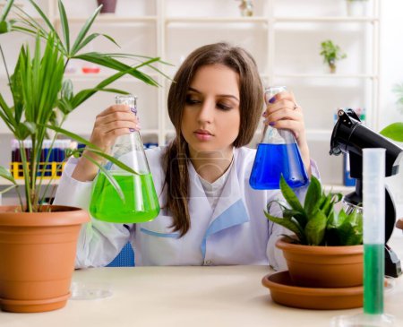 Téléchargez les photos : La jeune belle chimiste biotechnologique travaillant dans le laboratoire - en image libre de droit