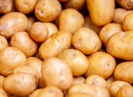 Foto de Las patatas en la pantalla del mercado - Imagen libre de derechos