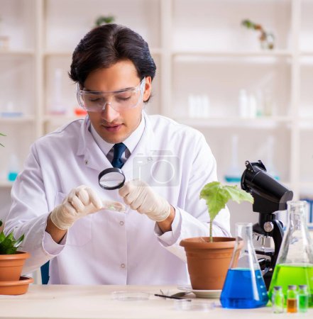 Photo for The biotechnology chemist working in lab - Royalty Free Image