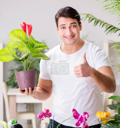 Téléchargez les photos : L'homme qui s'occupe des plantes à la maison - en image libre de droit