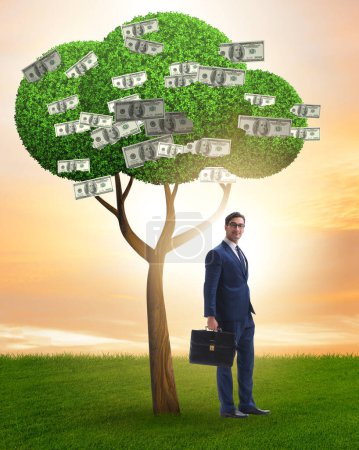 Photo for The businessman with money tree in business concept - Royalty Free Image