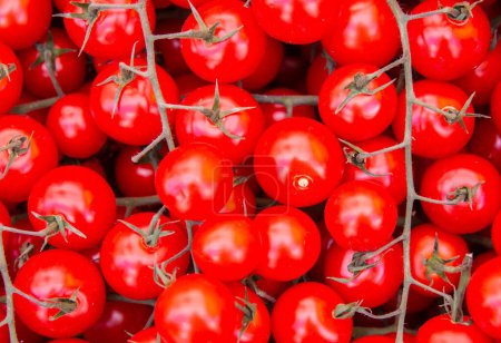 Foto de Los tomates en el puesto de exhibición del mercado - Imagen libre de derechos