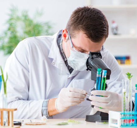 Téléchargez les photos : Le biochimiste masculin travaillant dans le laboratoire sur les plantes - en image libre de droit