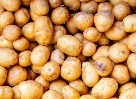 Téléchargez les photos : Les pommes de terre au marché - en image libre de droit