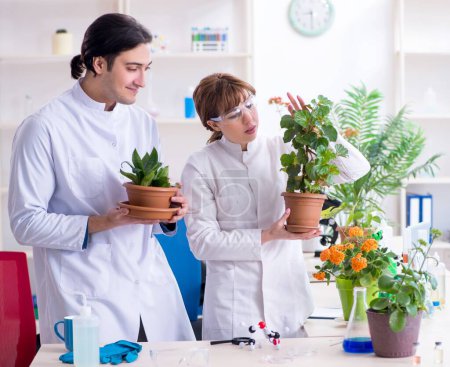 Téléchargez les photos : Les deux jeunes botanistes travaillant dans le laboratoire - en image libre de droit