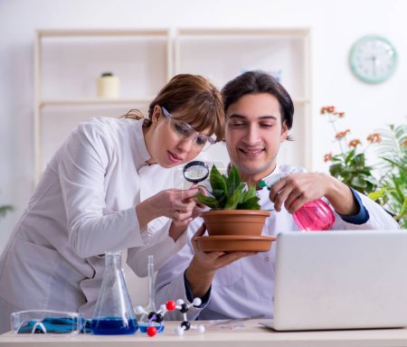 Foto de Los dos jóvenes botánicos trabajando en el laboratorio - Imagen libre de derechos