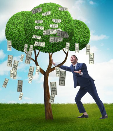 Foto de El hombre de negocios con árbol de dinero en concepto de negocio - Imagen libre de derechos