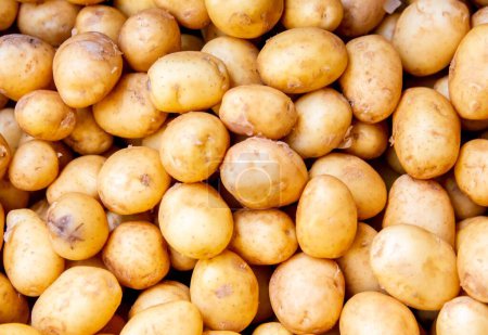 Foto de Las patatas en la pantalla del mercado - Imagen libre de derechos