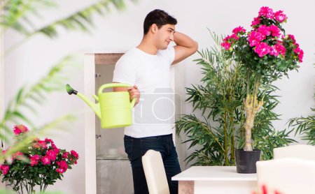 Photo for The man taking care of plants at home - Royalty Free Image