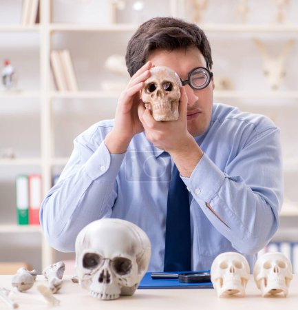 Téléchargez les photos : Le drôle de professeur fou étudiant le squelette humain - en image libre de droit