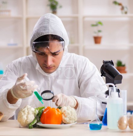 Photo for The scientist working in lab on gmo fruits and vegetables - Royalty Free Image