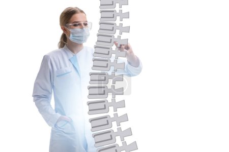 Téléchargez les photos : Concept médical avec les médecins et la colonne vertébrale - en image libre de droit