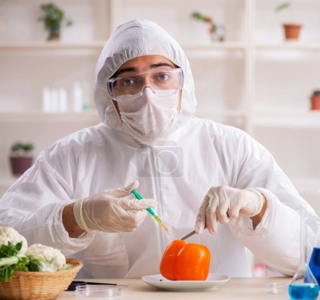 Photo for The scientist working in lab on gmo fruits and vegetables - Royalty Free Image
