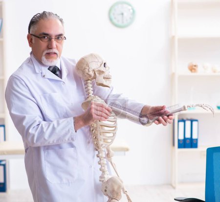 Téléchargez les photos : Le vieux médecin masculin avec squelette - en image libre de droit