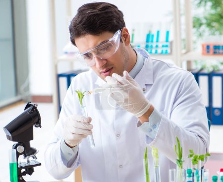 Foto de El bioquímico masculino que trabaja en el laboratorio de plantas - Imagen libre de derechos