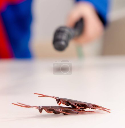 Foto de El joven contratista haciendo control de plagas en casa - Imagen libre de derechos