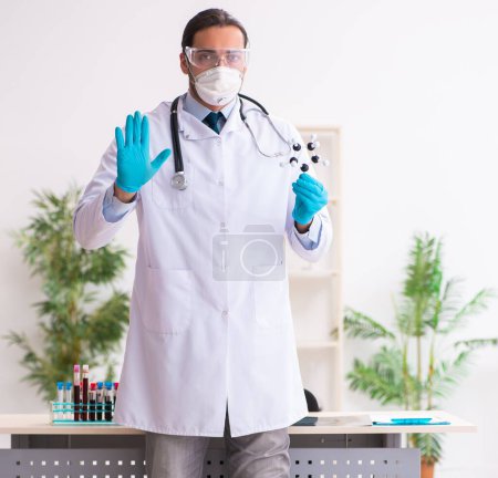 Photo for Doctor working in the lab in coronavirus COVID-19 concept - Royalty Free Image