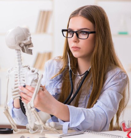 Téléchargez les photos : L'étudiant assis en classe et étudiant le squelette - en image libre de droit