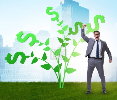 Foto de El concepto del árbol del dinero con el hombre de negocios en ganancias crecientes - Imagen libre de derechos