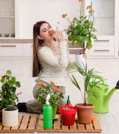 Foto de La joven jardinero con plantas en el interior - Imagen libre de derechos