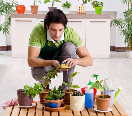 Photo for The young male gardener with plants indoors - Royalty Free Image