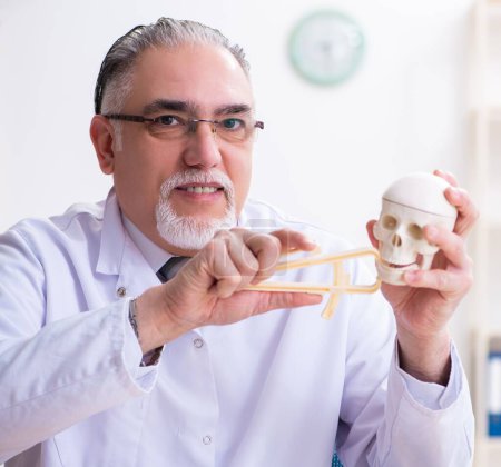 Téléchargez les photos : Le vieux médecin masculin avec squelette - en image libre de droit