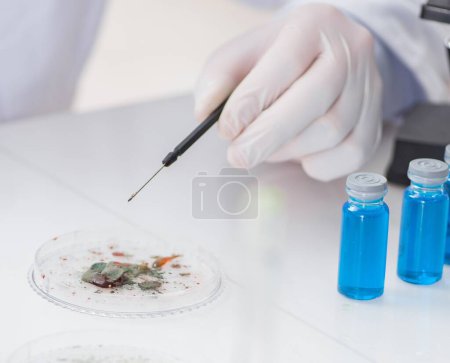 Foto de El médico masculino que trabaja en el laboratorio con la vacuna contra el virus - Imagen libre de derechos